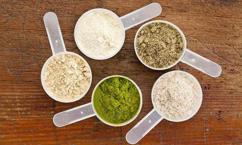 Looking for Protein Powder? Read This First!