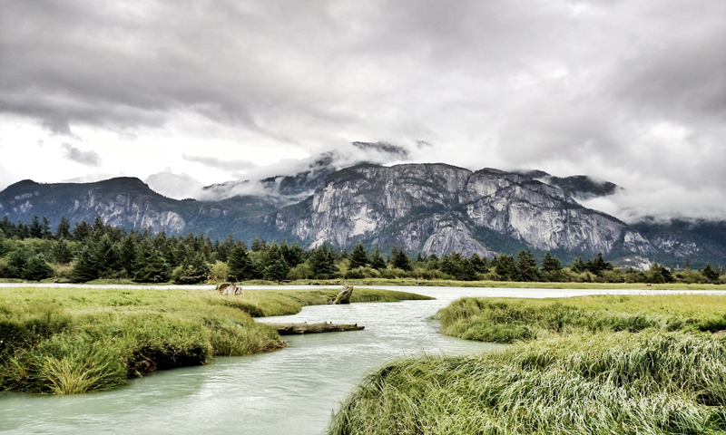 Squamish Travel Beta